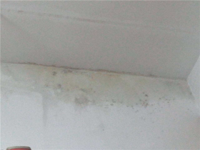 墙面漏水怎么办 墙面漏水怎么办