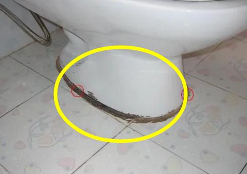 发霉 发霉