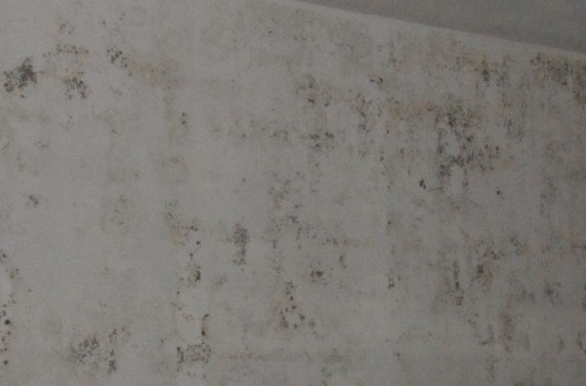 墙体发霉