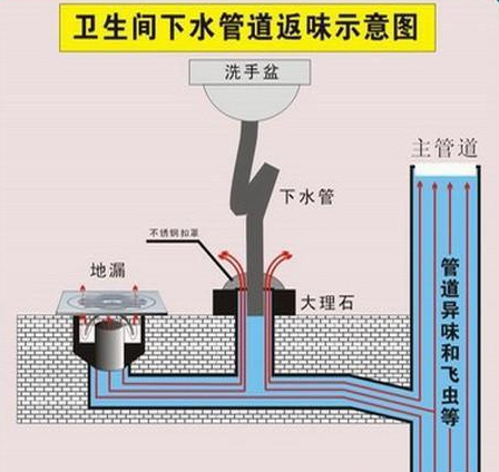 地漏总反味咋办?试下这个，立马有效果