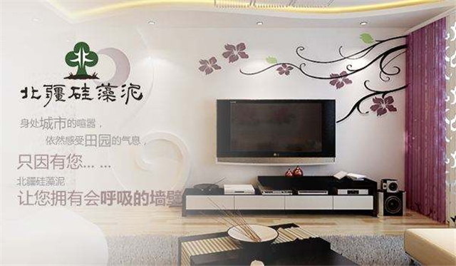 兰舍硅藻泥好还是北疆