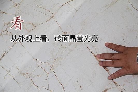 瓷砖选购