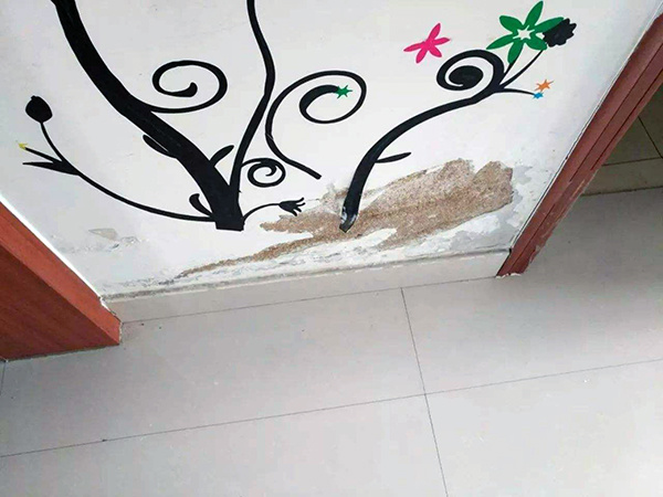 怎么防止墙皮脱落