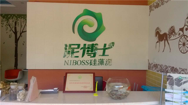 泥博士硅藻泥怎么样