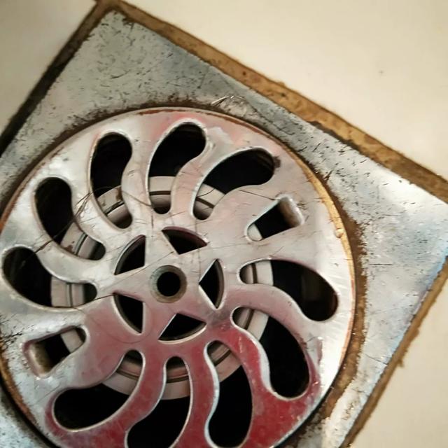 卫生间地漏怎么分好坏 地漏滤芯哪种的好 卫生间地漏怎么分好坏 地漏滤芯哪种的好
