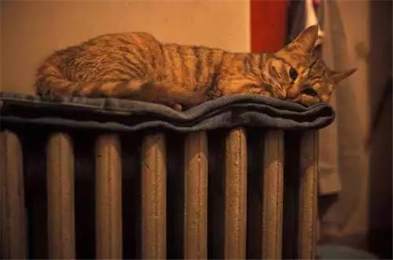 电暖气 电暖气