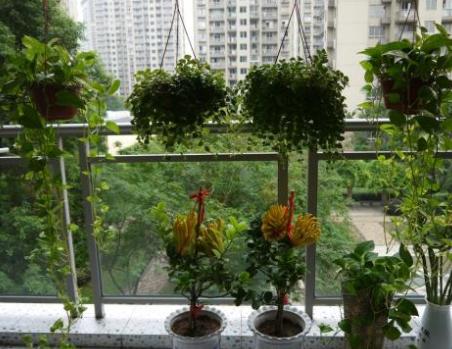 阳台有必要装洗衣池么 美观便捷还省水我都想重新装一个 阳台有必要装洗衣池么 美观便捷还省水我都想重新装一个