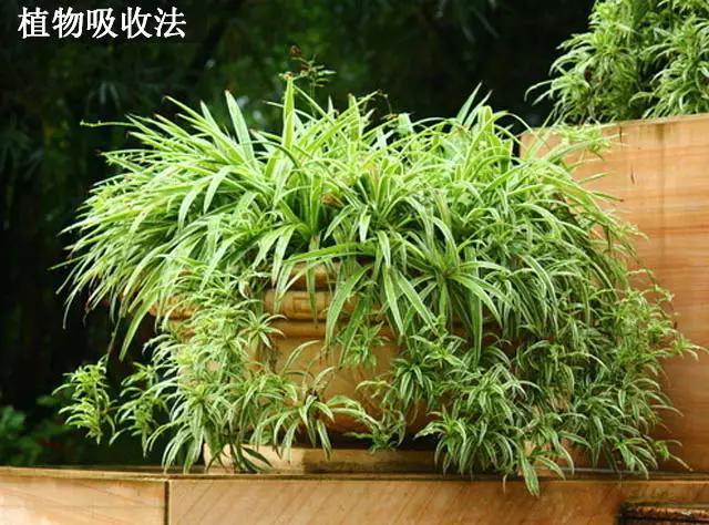 装修除味