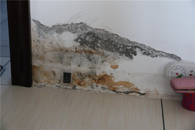 墙面漏水怎么办 墙面漏水怎么办