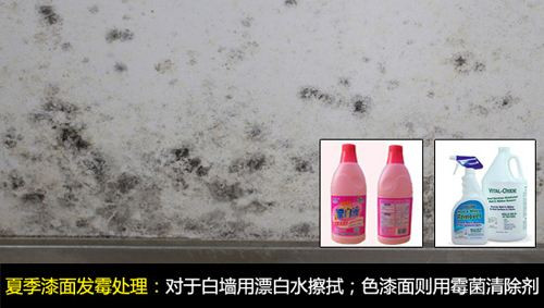 墙面发霉 墙面发霉