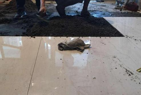 装修新房先贴瓷砖还是先装衣柜 此两者不能乱装大家都留心