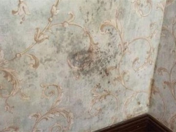 墙面返潮怎么办 墙面返潮的原因及解决办法