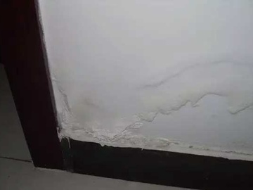 什么是墙面反碱 墙面反碱的原因