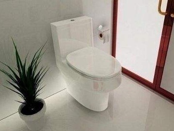 坐式马桶安装 坐式马桶安装注意事项