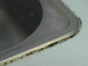 厨房水槽边长霉？不能忍的接妙招！